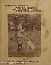 Hogyan bánjunk a vizslával hogy az jó maradjon?