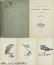 A madarak hasznáról és káráról