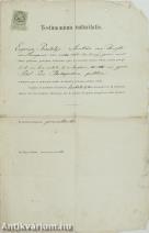 Pásztélyi Jenő budapesti ügyvéd, görögkatolikus egyházi elöljáró érettségi bizonyítványa (Lutter Nándor Ferdinánd, Trautwein Nep. János, Pfeiffer Antal, további 3 tanár által aláírt példány)