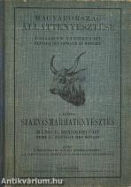 Szarvasmarhatenyésztés