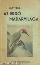 Az erdő madárvilága