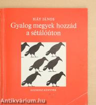 Gyalog megyek hozzád a sétálóúton
