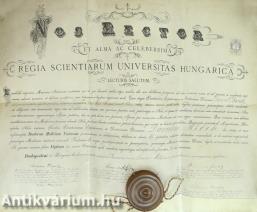 Nos Rector Et Alma Ac Celeberrima Regia Scientiarum Universitas Hungarica - Latin nyelvű orvosi diploma, 1897 (Többek között Bognár István, a Budapesti Tudományegyetem rektora által aláírt példány)
