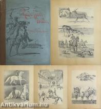 Pferde-Sport-Bilder (23 dekoratív, rajzolt táblával.)