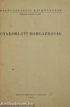 Gyakorlati borgazdaság