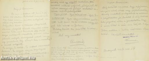 Csinszka és Vaszary Jánosné levele Rippl-Rónai József özvegyének. (A kéziratról írt irodalomtörténeti tanulmány a leírásban olvasható)