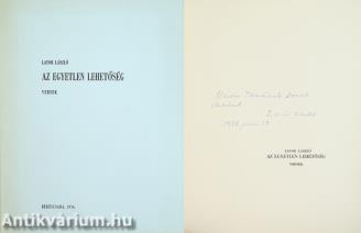 Az egyetlen lehetőség (számozott, Nádor Tamás újságírónak dedikált példány) (Illusztráció: Varga Hajdú István)