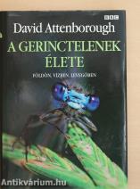A gerinctelenek élete