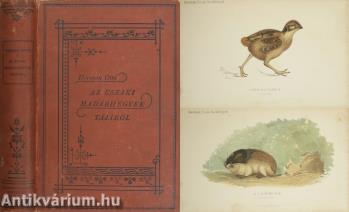 Az északi madárhegyek tájáról