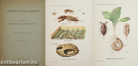 A dohány állati kártevői