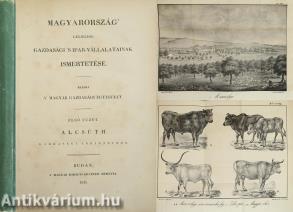 Magyarország' legjelesb gazdasági 's ipar-vállalatainak ismertetése I. (1 képtábla hiány)