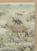 A kecske tenyésztése