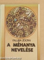 A méhanya nevelése