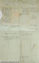 Gróf Zichy László és Gróf Brunswick József által aláírt 1824-ben kelt hivatalos közigazgatási dokumentuma.