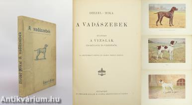 A vadászebek