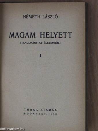 Magam helyett I.