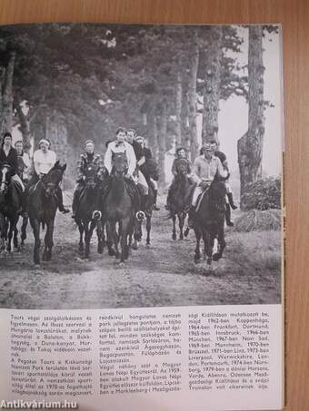 Magyar lótenyésztés 1945-1980