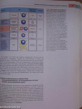 Immunologie