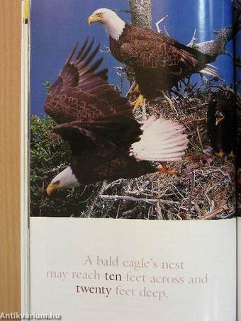 National Geographic July 2002