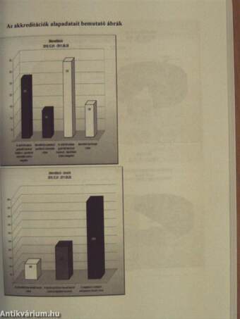 A 2011. évben végzett kétszintű gyakorlati képzőhely ellenőrzés tapasztalatai a hazai szakképzés tükrében