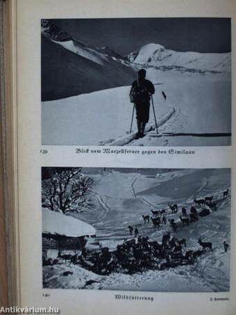 Berge im Schnee (Gótbetűs)