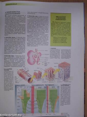 Larousse - A természet enciklopédiája