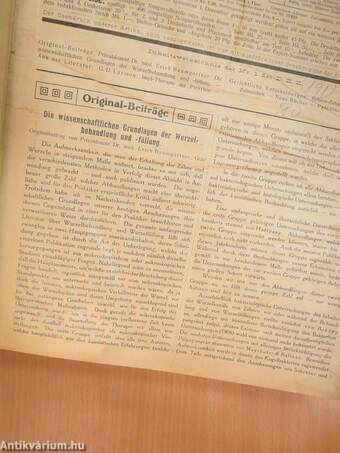 Deutsche Zahnärztliche Zeitung 1913. január-december