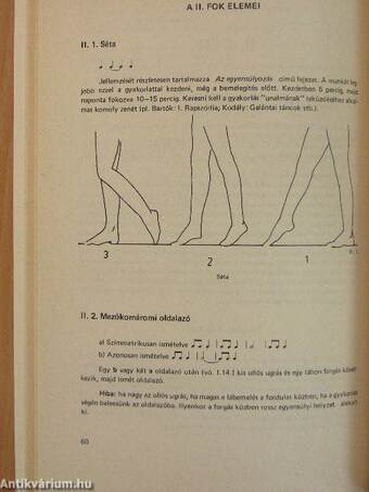 Magyar tánctanulási rendszerem - Tánctechnika