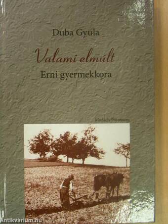 Valami elmúlt