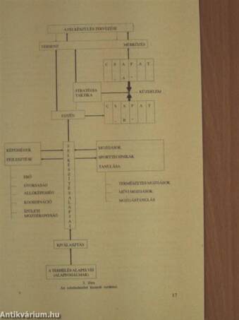 Az általános edzéselmélet és módszertan alapjai I.