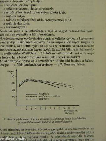 Tyúktenyésztés