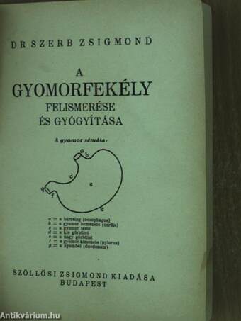 A gyomorfekély felismerése és gyógyítása