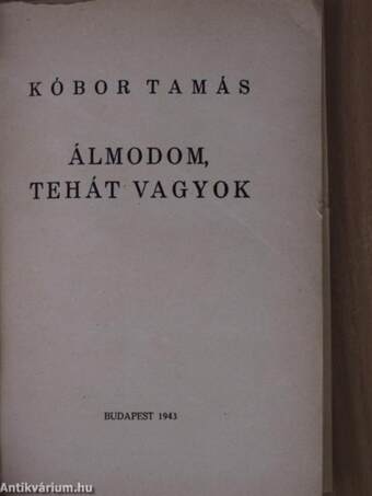 Álmodom, tehát vagyok