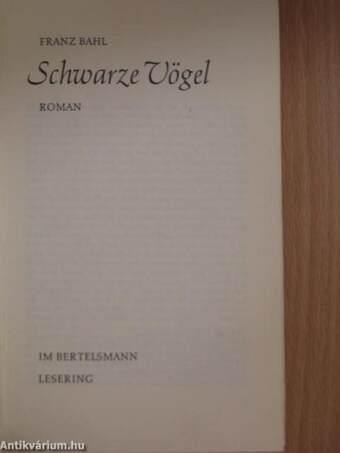 Schwarze Vögel