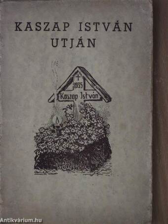 Kaszap István útján