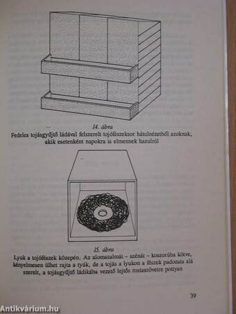 Csirkék, tyúkok a ház körül