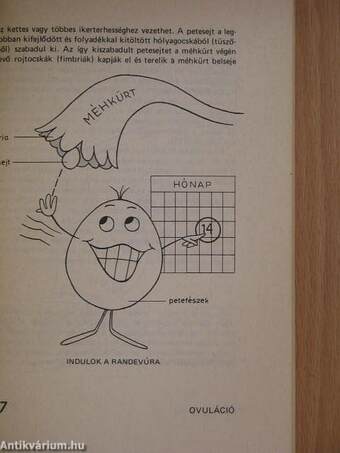 101 kérdés a fogamzásgátló tablettákról