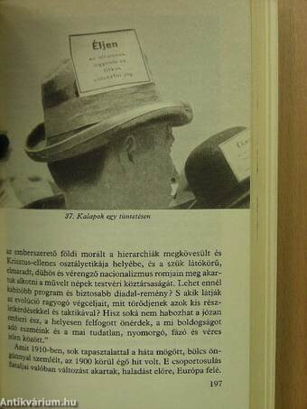 A szociáldemokrácia és a magyar társadalom 1914-ig