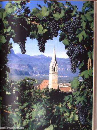 Weinland Südtirol