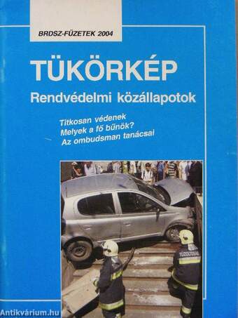 Tükörkép