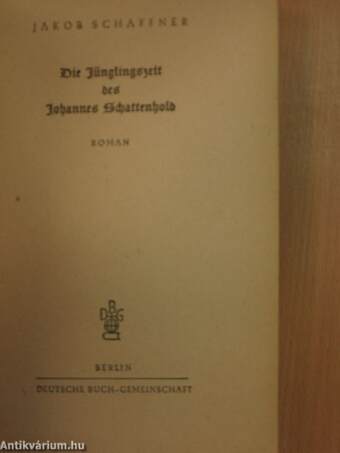 Die Jünglingszeit des Johannes Schattenhold