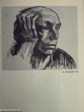 Käthe Kollwitz