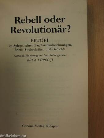 Rebell oder Revolutionär?