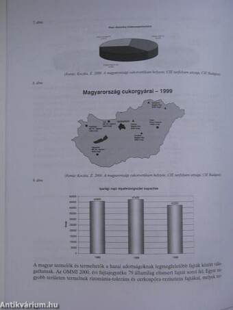 A káliumellátás szerepe a sikeres cukorrépa-termesztésben