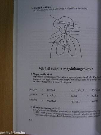 Magyar nyelv és kommunikáció - Munkafüzet 11 éveseknek