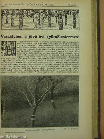 Növényvédelem 1930./Kertészet 1930. (nem teljes évfolyamok)