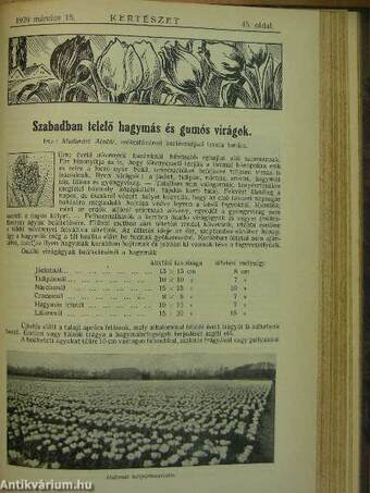 Növényvédelem 1929. január-december/Kertészet 1929. január-december