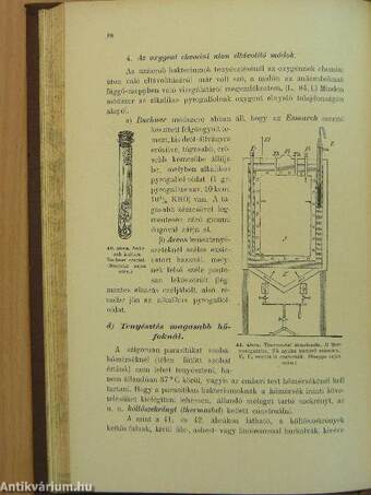 A bakteriologia rövid tankönyve