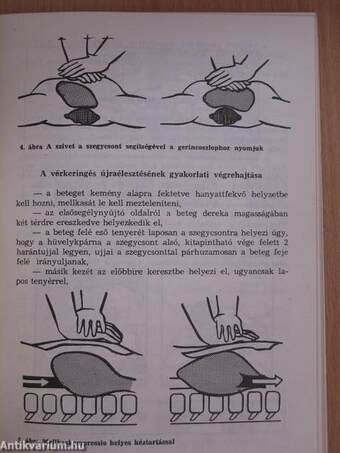 Elsősegélynyújtási ismeretek