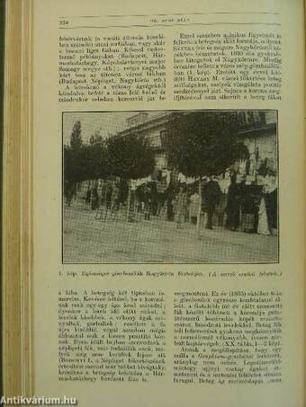 Természettudományi Közlöny 1936. január-december/Pótfüzetek a Természettudományi Közlönyhöz 1936. január-december